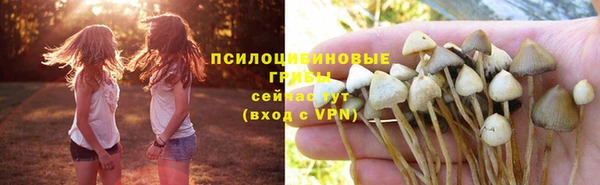крисы Магадан