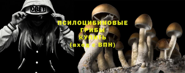 крисы Магадан