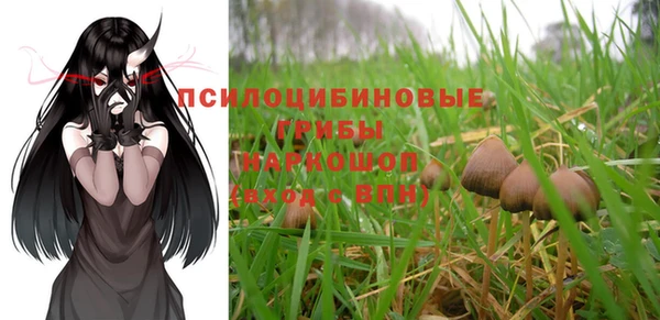 крисы Магадан