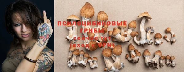 прущая мука Магас