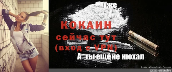 крисы Магадан