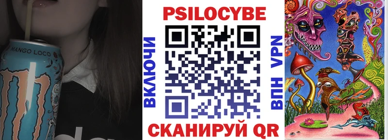 купить   Александровское  mega как зайти  Галлюциногенные грибы Cubensis 